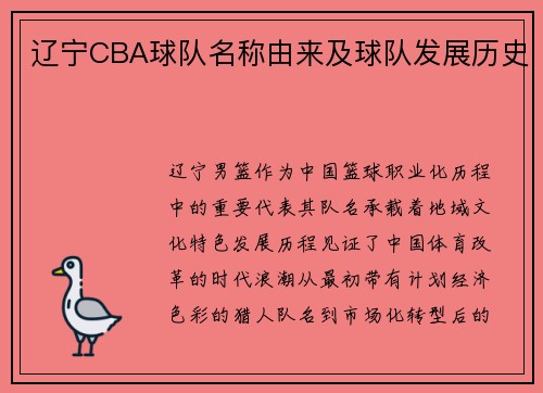 辽宁CBA球队名称由来及球队发展历史